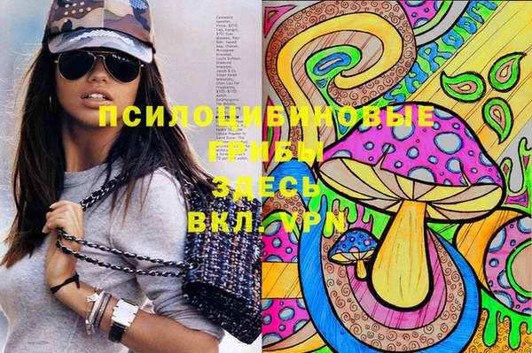 соль курить ск Алексеевка