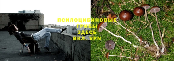 MDMA Алексин
