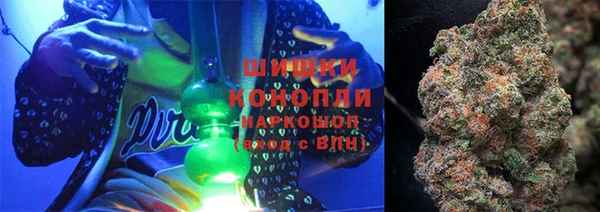 шишки Абаза