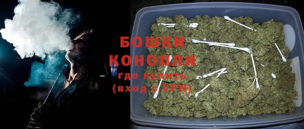 шишки Абаза